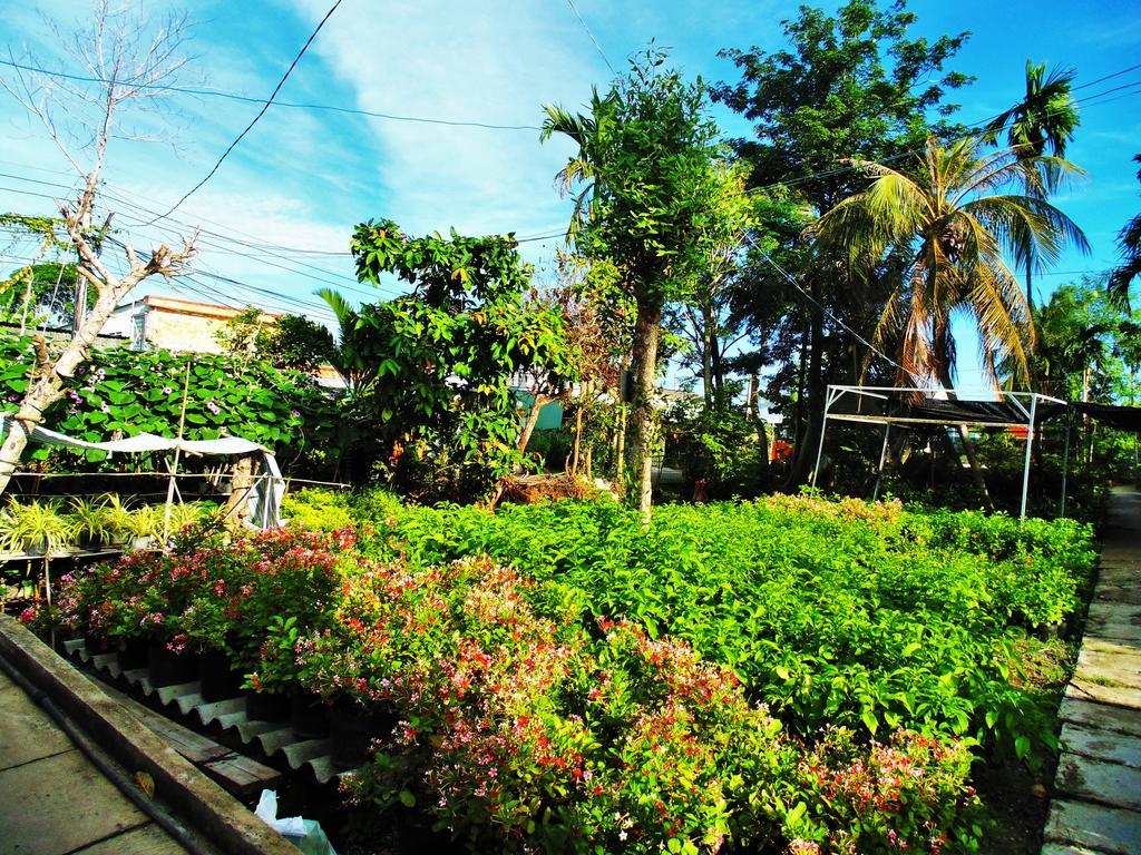 Flower & Frog Homestay Sa Dec Exterior photo