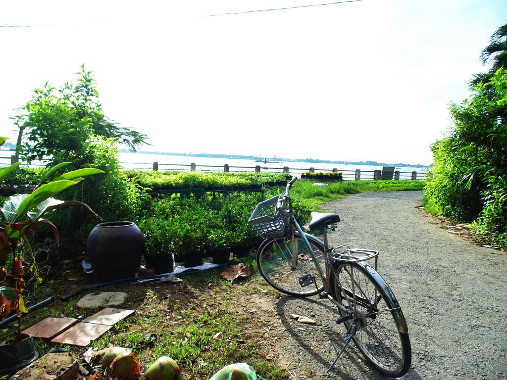 Flower & Frog Homestay Sa Dec Exterior photo