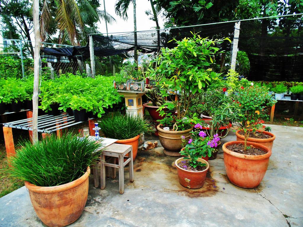 Flower & Frog Homestay Sa Dec Exterior photo